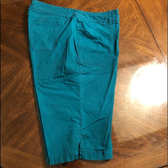 Lane Bryant Shorts - Picture 3 of 6